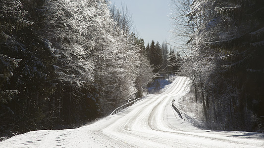 农村通过森林覆盖道路的下雪图片