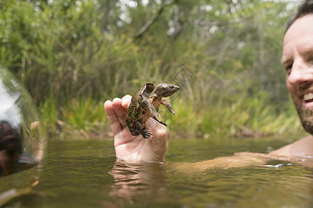 在水里抓着乌龟的男人图片