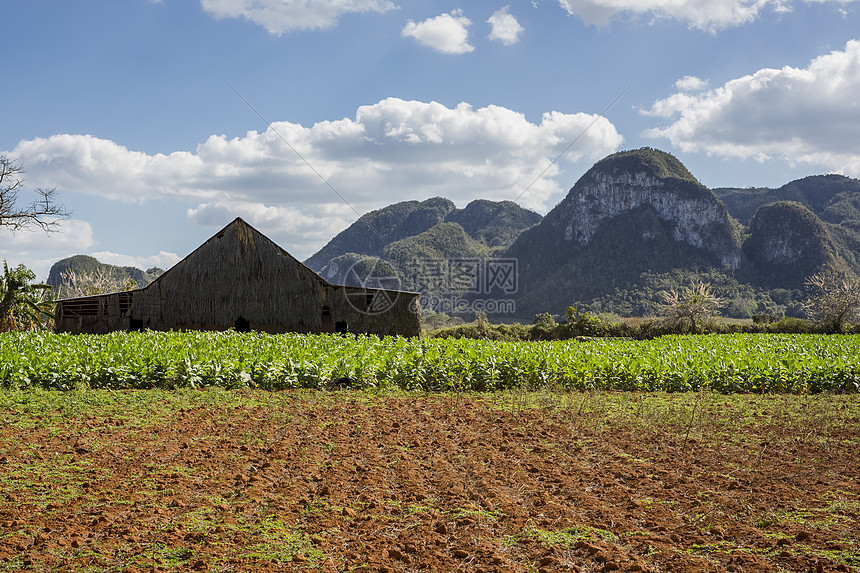 古巴比纳莱斯具有山地景观的农业田和场建筑图片