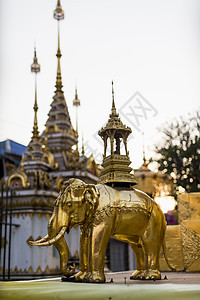 泰国清迈佛教寺庙的鲜清迈金象雕像图片