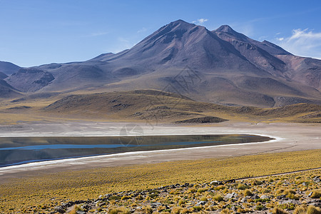 智利圣佩德罗阿塔卡马米斯坎蒂湖图片