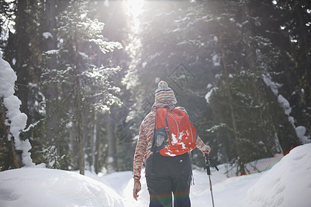 加拿大路易湖冰雪覆盖的森林中拿着登山杖的女人背影图片