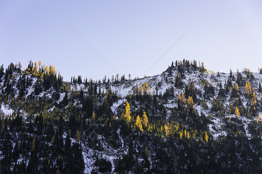 山脉上的雪覆盖树木图片