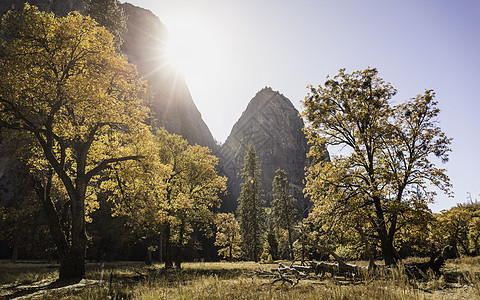 美国加利福尼亚州约塞米特公园秋季森林景观图片