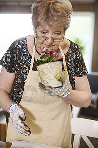 老年妇女在闻陶盆里的植物图片