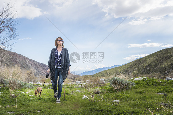 山谷地貌的成子行走狗图片