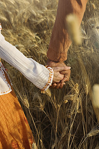 在小麦田中手牵手的情侣特写图片
