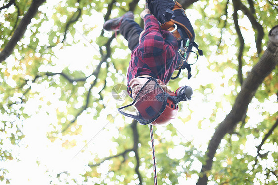 受过训练的十几岁男树外科医生倒吊在树枝上图片
