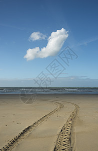低潮海滩有车辆轮胎轨迹法国北帕斯德加莱州格雷斯图片