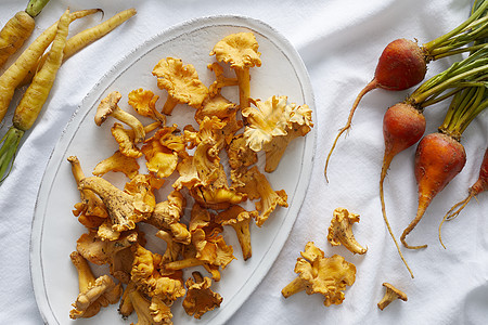 野花蘑菇金黄甜菜和胡萝卜图片