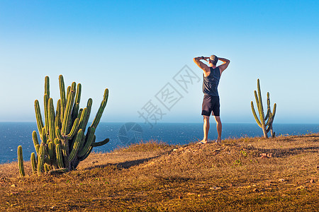 站在仙人掌里站在山顶的男子看着风景后视Jericoacoara公园巴西塞阿拉Ceara背景