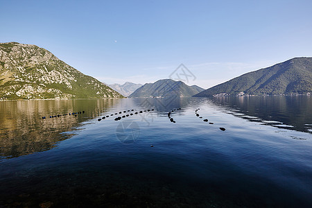 黑山科托尔湾渔网浮的景象图片