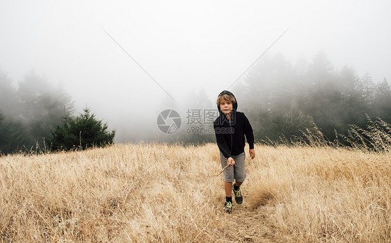 费尔法克斯加利福尼亚州美国北田地风景中的男孩图片
