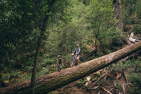 费尔法克斯加利福尼亚州美国加利福尼亚州北美一家人在森林散步图片