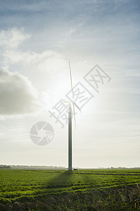 清晨风力涡轮机荷兰欧洲图片