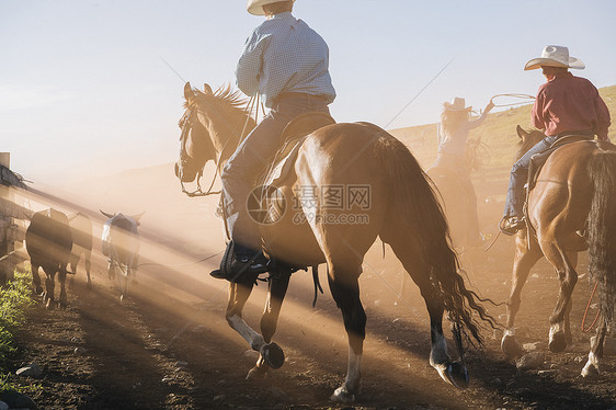 牛仔骑马时拿套索俄勒冈州美国北美图片