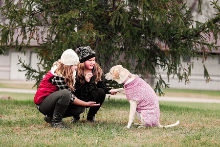 女孩和妹跪在花园里抱着狗的爪子图片