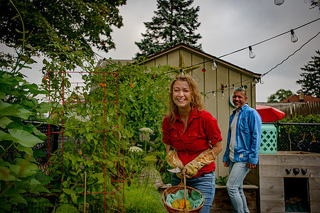 成熟的园艺夫妇采新鲜西红柿在篮子里图片
