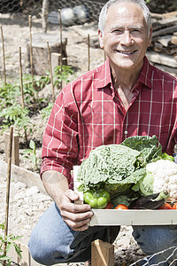 带一箱土生蔬菜的男人图片