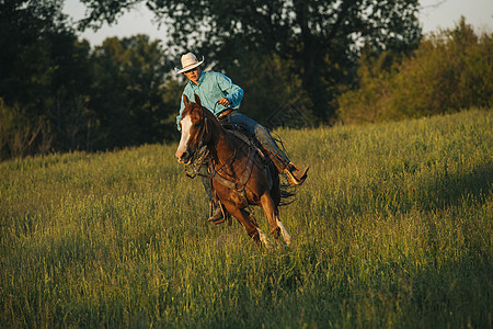 企业主题在野上骑马的少年男孩背景