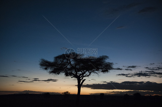 日落时安加西亚Tsavo肯尼亚非洲图片