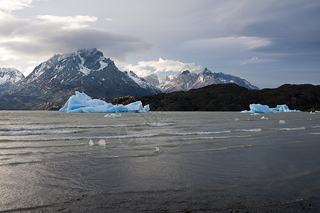 智利帕塔哥尼亚TorresdelPaine公园灰湖上的冰山图片