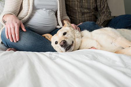 坐在床上的孕妇和躺在他身边的狗图片