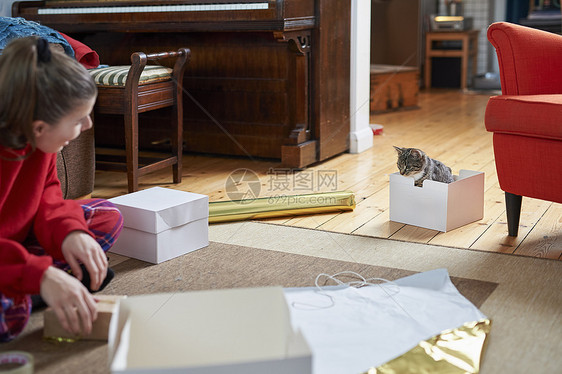 坐在客厅地板上包装礼物的年轻妇女在看猫图片