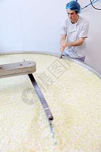 奶酪制造商在大桶中搅拌凝乳图片