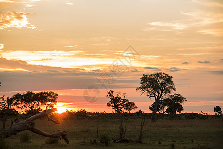 日落时博茨瓦纳奥卡万戈三角洲的景观图片