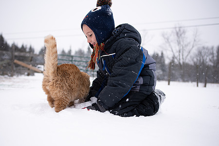 在雪中玩猫的男孩图片