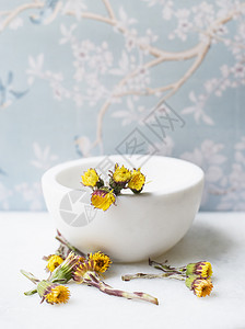 陶瓷碗和蒲公英花图片
