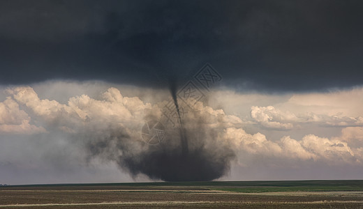美国科罗拉多州科普平原上形成的陆喷龙卷风混合体图片