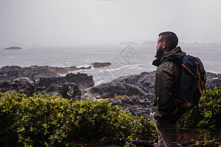 加拿大托菲诺岛海滨寻找远洋的偷渡者图片