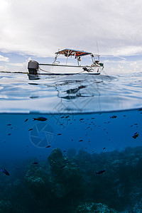 墨西哥金塔纳罗奥州科祖梅尔岛Conzumel礁上游船图片