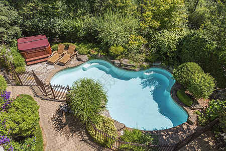 在高角度视野的豪华住宅后院周围环绕着铁安全栅栏和各种灌木树的户外游泳池图片