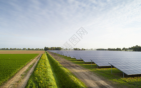 太阳能农场荷兰弗勒沃兰埃梅洛德图片