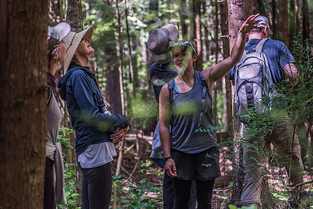 在加拿大约翰斯通海峡森林的森林中远足的一群人图片