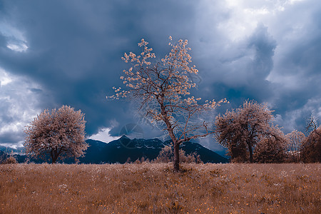 意大利维尼托弗朗西尼戈山上有草地和风暴云的秋季景观图片