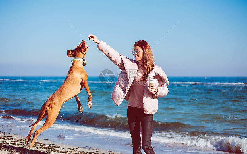 在海滩上和狗玩的成年妇女乌克兰奥德萨卡州萨图片