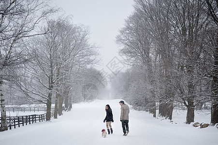 雪覆盖森林后视雪覆盖森林的年轻夫妇步行狗加拿大安略省加拿图片