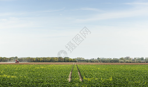 荷兰拖拉机轨道穿过田野景观图片
