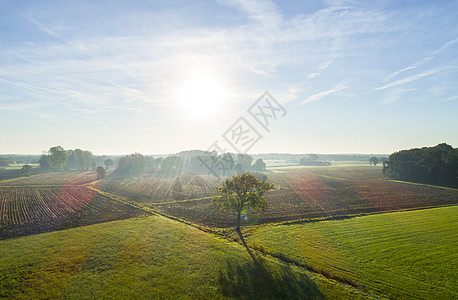 荷兰秋天阳光高观的田地景图片