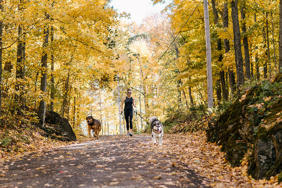 妇女与狗一起在森林中慢跑图片