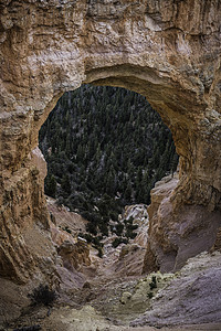 美国犹他州斯普林代尔锡安公园风景图片