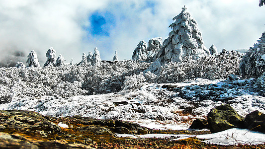 云南昆明轿子雪山冬日雪景背景