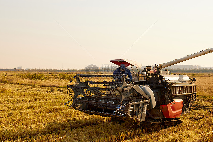 农田里的水稻收割机图片