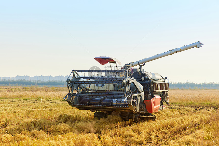 金色秋稻田收割机器图片