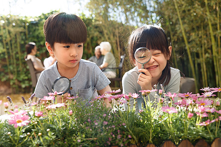 夏天幸福家庭在庭院里图片