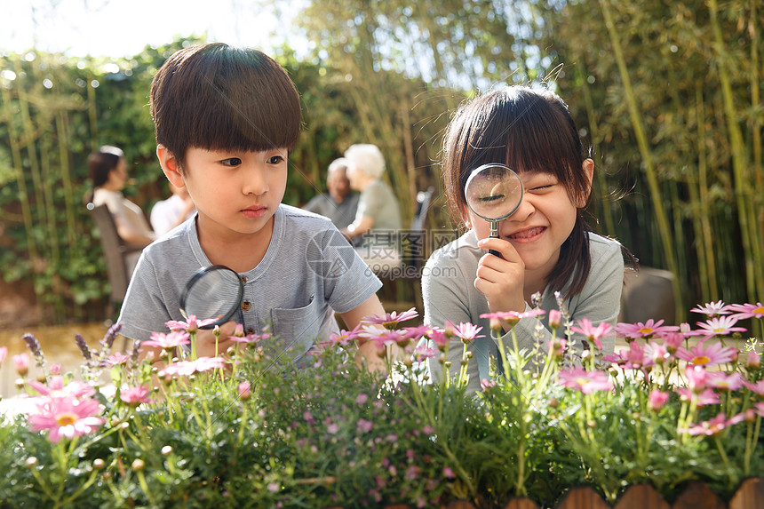 夏天幸福家庭在庭院里图片